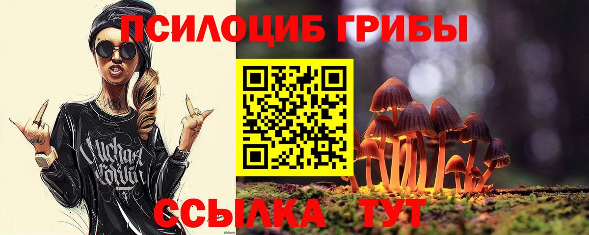 что такое   Вход с VPN  Нарткала  Галлюциногенные грибы GOLDEN TEACHER 